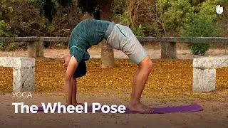 Learn the Wheel Pose - Chakrasana | Yoga