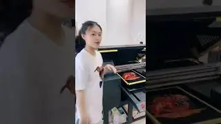 How is FOCUS DTG tshirt printer working? click this video...