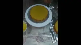 Pineapple Chocolate Dripped Cake