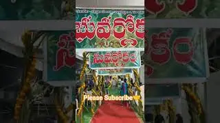 Celebration🎉🎊 Vibes #youtubeshorts #ytshorts #omnamovenkateshaya#lordbalaji #tirupatibalaji#trending