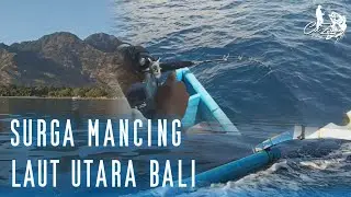 Surga Mancing di Laut Utara Bali | Pantai Pemuteran | Seririt |Buleleng | Bali | CikZibon