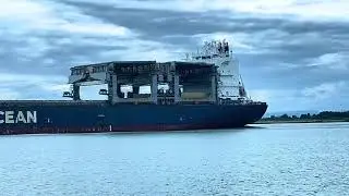How G2 Ocean Delivers the World&rsquo;s Cargo &ndash; From Forest to Steel
