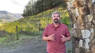 Pine Ridge Winery Showcase