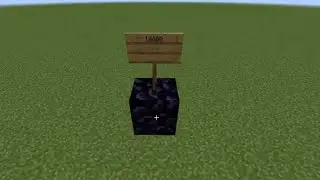 10000 consecutive 2 block jumps - Minecraft World Record