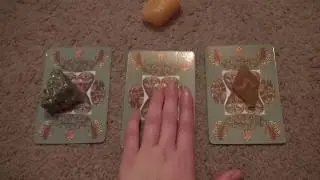 Animal Spirit Guide Message Pick a Card Oracle Reading