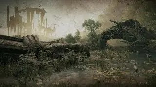 ELDEN RING How to break Garius