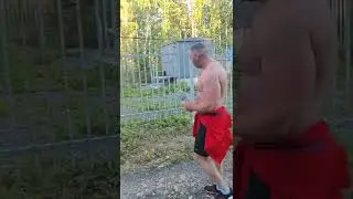 The fence is under voltage.