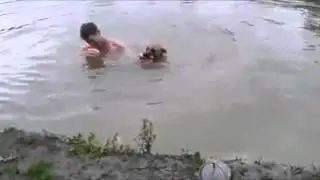 cane salva padrone che affoga