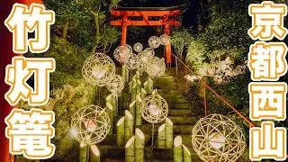 竹灯籠が美しい、京都西山竹あかり～幻想夜2025～ 大歳神社 善峯寺 楊谷寺