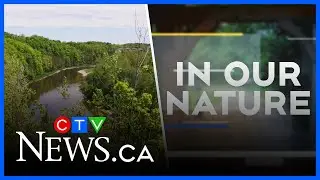 In Our Nature: Exploring the Trans Canada Trail