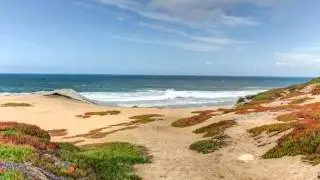 Best Time To Visit or Travel to Monterey, California