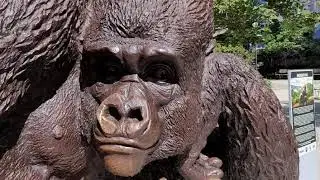 Showcasing: 🦍KING NYANI The Gorilla Statue In New York City!!!🦍 (Narrated).