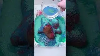 CLEANING SQUISHY ASMR💨💨Patrick Star#asmr