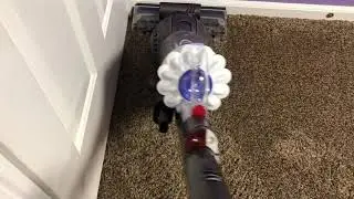 🚨DYSON BALL🚨 New Vac. Natural Vacuuming | Up -Close | Bin Dump