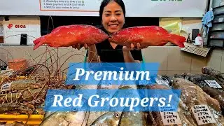 Premium Red Groupers! Simply the Best! (13 Jan 2026 Tues)