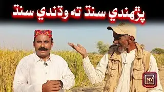 Parahndi sindh wadhandi sindh | Funny | Comedy | My tv