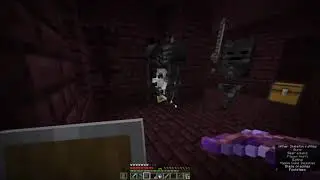 Sapnap Cornered by Wither Skeletons