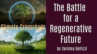 The Global Crossroads of Climate Policy: Progress, Pushback, & the Battle for a Regenerative Future