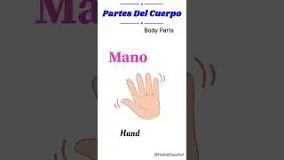 Name of Body Parts In Spanish Head to Toe| Nombre Del Parte De Cuerpo En Espa&ntilde;ol #spanishlearning