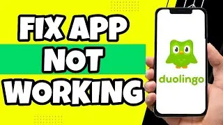 How To Fix Duolingo App Not Working (2023)