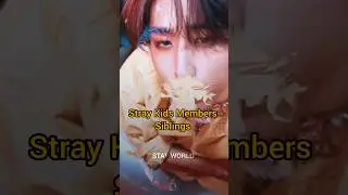 Stray Kids Members Siblings