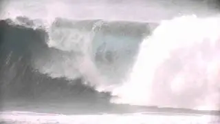 WAVE OF THE WEEK: YADIN NICOL