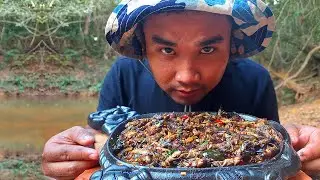 Spicy Crispy Mole Cricket Insects on the iron pot so eating in forest
