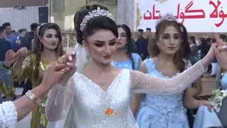 حفلة زفاف (باسل & جایزة) جزء (4)