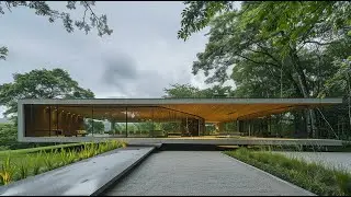 Elegant One-Story Concrete Homes Perfect for Modern Lifestyles