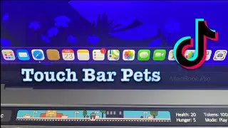 Làm Theo TIKTOK TRIỆU VIEW | Tạo TOUCH BAR PETS trên MACBOOK