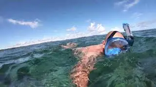 Fondale marino Madagascar
