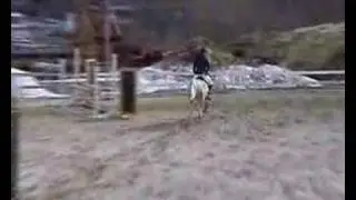 Clo&eacute;, ponni til salgs