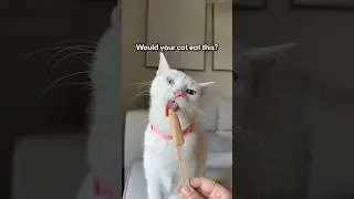 What Cats Think of Freeze-Dried Fish | The Pack