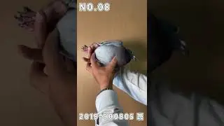 NO8.2019-000805