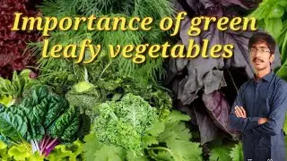 Importance Of Green Leafy Vegetables