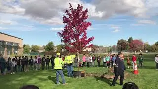 2019 College Place Arbor Day Tree Planting - October 8th, 2019
