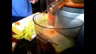 Juicing Carrots and Celery Omega VRT 350