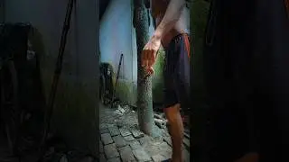 Sajib Aryan | #nify #knifyplays