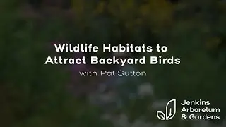 Wildlife Habitats to Attract Backyard Birds with Pat Sutton