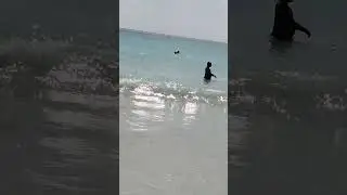 AK Amputee enjoying on beach |Radhanagar Havelock | One legged swimmer | Andamans tour #neil #ross