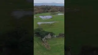 Athassel Priory Tipperary Ireland #drone #shorts #short