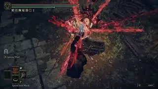 ELDEN RING: Wheel Of Misfortune (Weapon/Ash Of War/Sword Art/Spell)