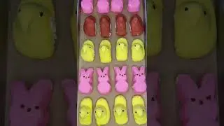 PEEPS: yay or nay? 🤔🐣 #freezedriedcandy #peeps #marshmallow #shorts