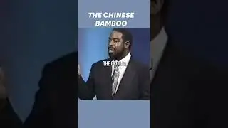 The chinese bamboo tree #selfimprovment #lifelessons #wisdom