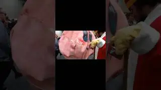 UN KIRBY GIGANTE AL TORINO COMICS 2024 #trendingshorts #viral #new #game #torino #gaming #kirby #op