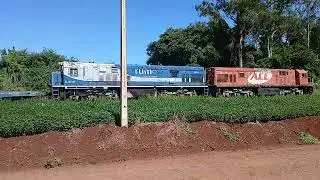 21 de janeiro de 2026