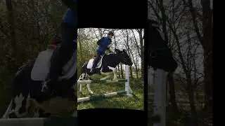 did you guys know you could jump a cow!?