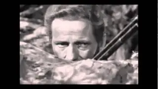 We don't need no stinking badges .wmv