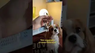 Украшения с собачками🐶 wishway.store #cavalierkingcharles #собака #догблог #handmade #beadwork