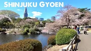 Shinjuku Gyoen Park During the Pandemic
